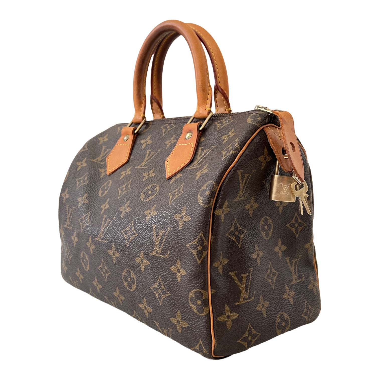 Speedy 25 Monogram Canvas