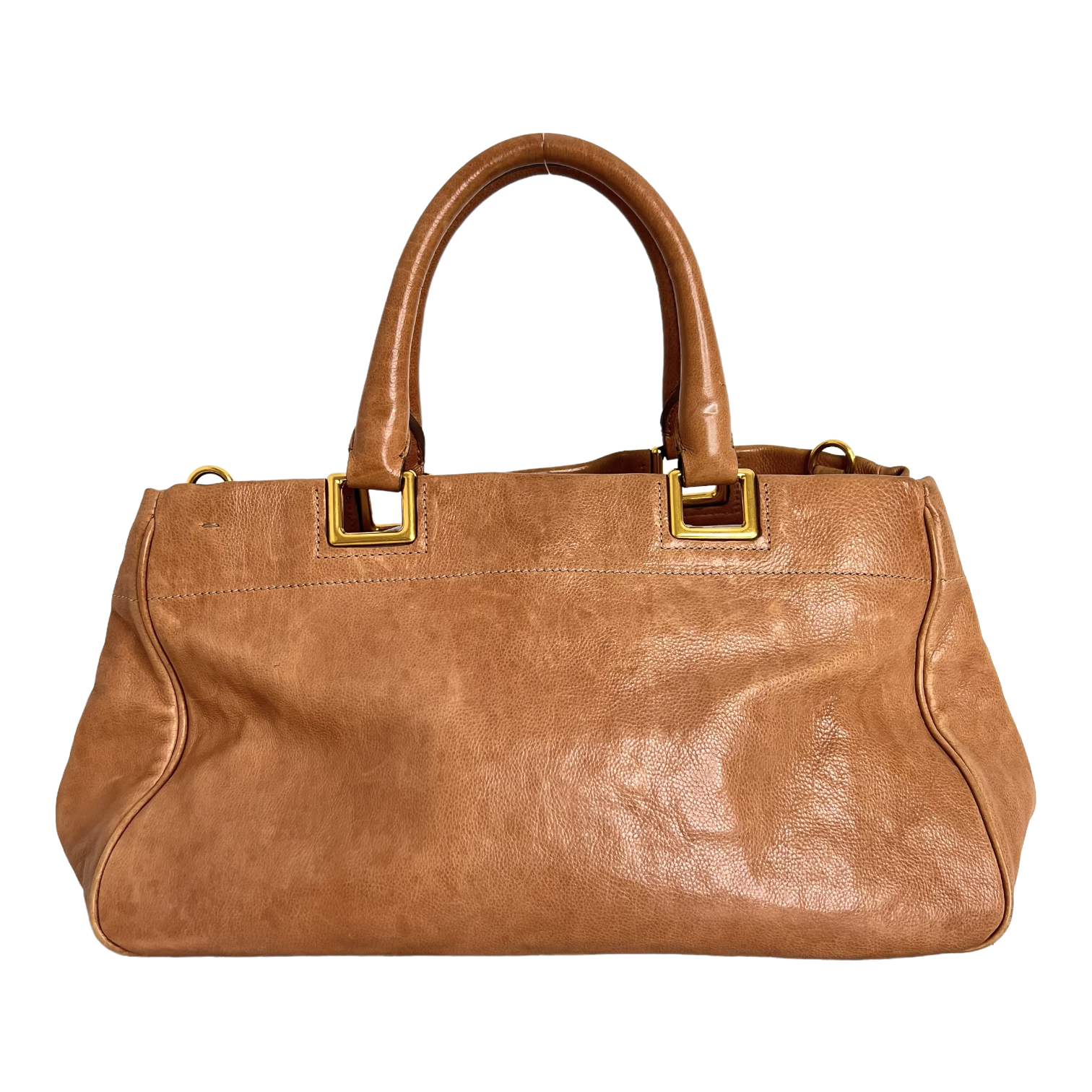 Cammeo Calfskin Ribbon Bag